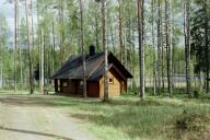 A picture of Isokuovi from back